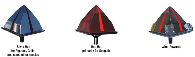 Eagle Eye Devices deterrent